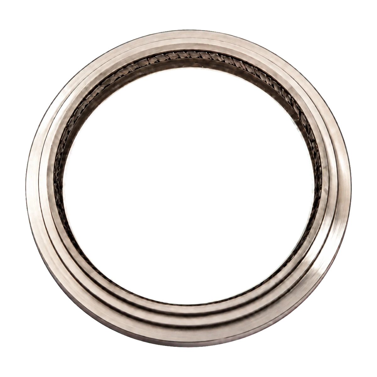 10181916 Wear Ring Schwing